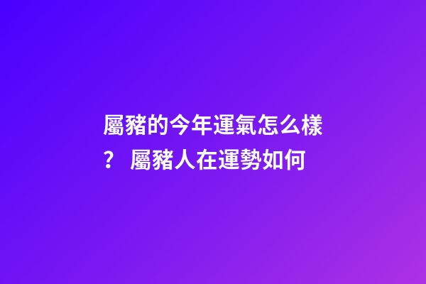 屬豬的今年運氣怎么樣？ 屬豬人在運勢如何
